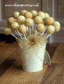 Simple pops, all £2.50 each Simple pops, all £2.50 each